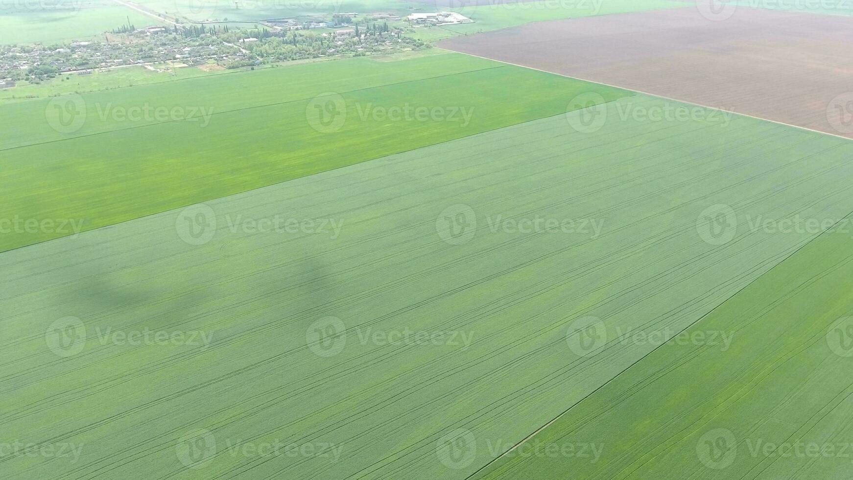 Fields in the Kuban view from a height. Young wheat and plowed field a little further from the village. photo