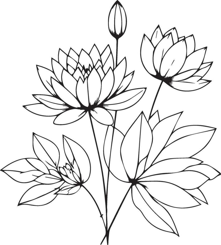 realistic black and white water lily tattoo, water lily tattoo black and white, waterlily, minimalist geometric water lily tattoo, water lily line art, easy water lily drawing for kids vector