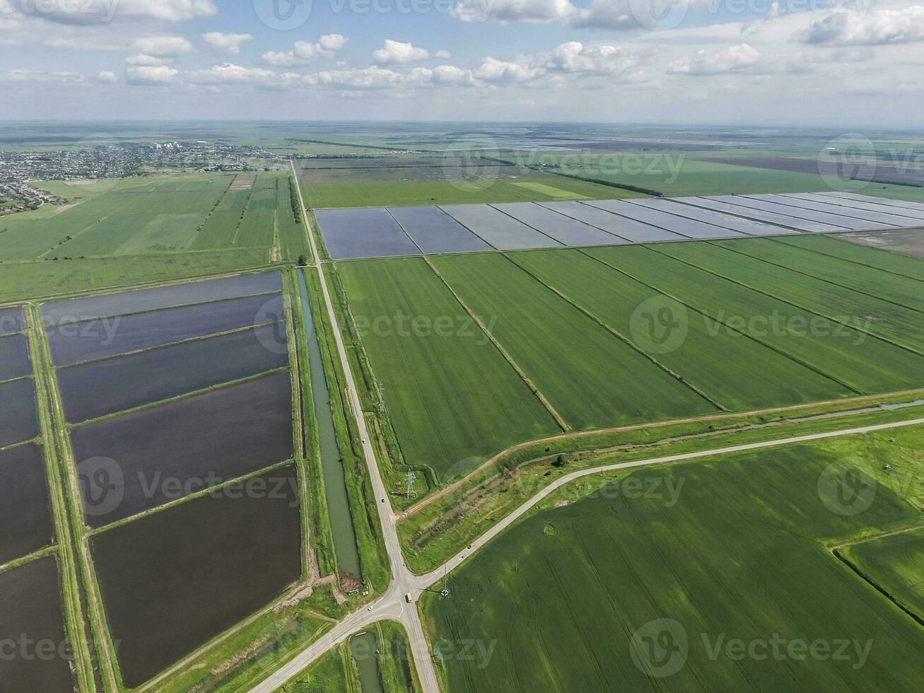 inundado arroz arrozales agronómico métodos de creciente arroz en el F foto