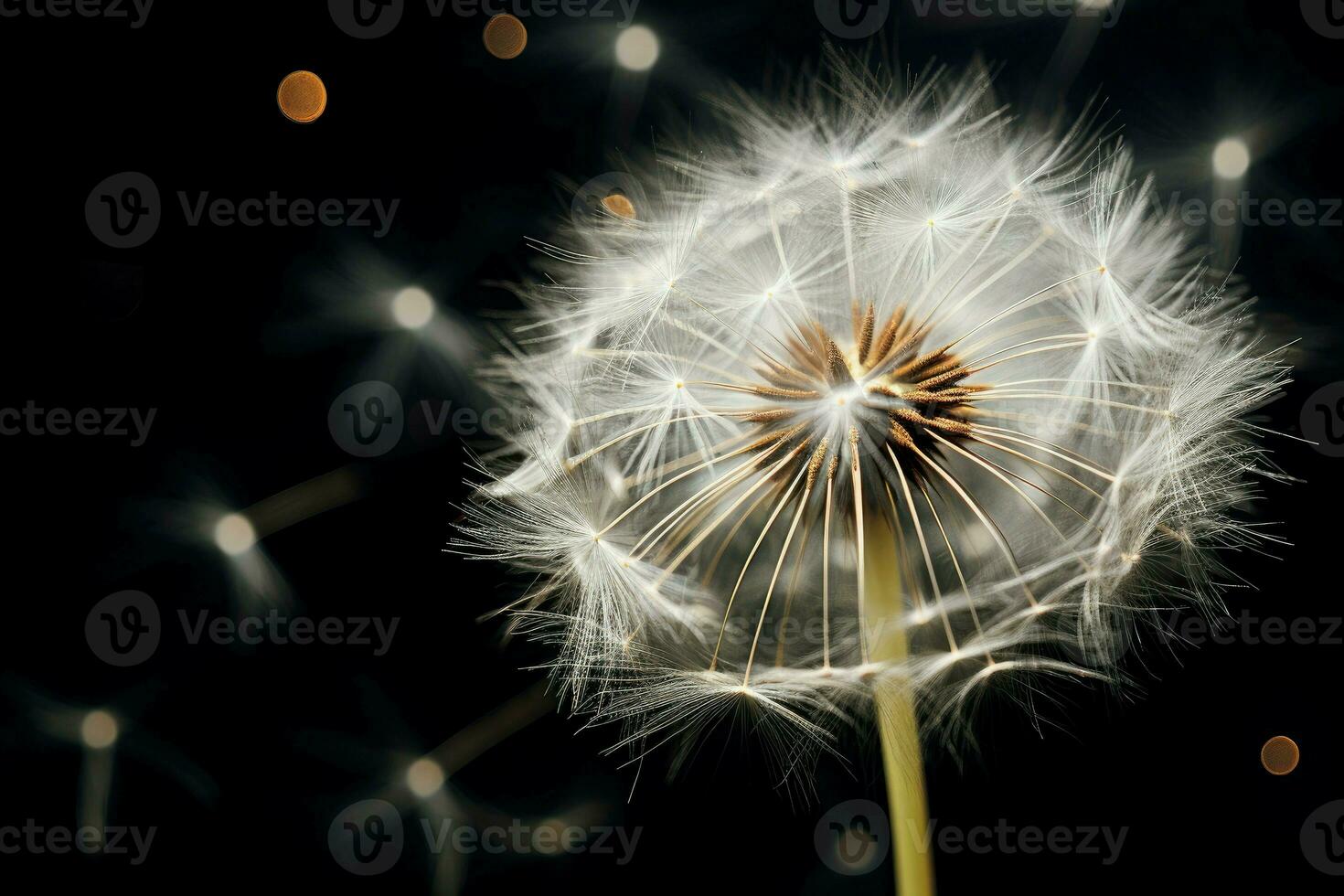 AI generated Hardy Dandelion plant. Generate Ai photo