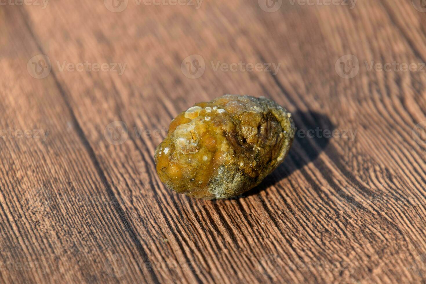 Stone of gallbladder. The result of gallstones. A calculus of dissimilar composition on a wooden background. photo