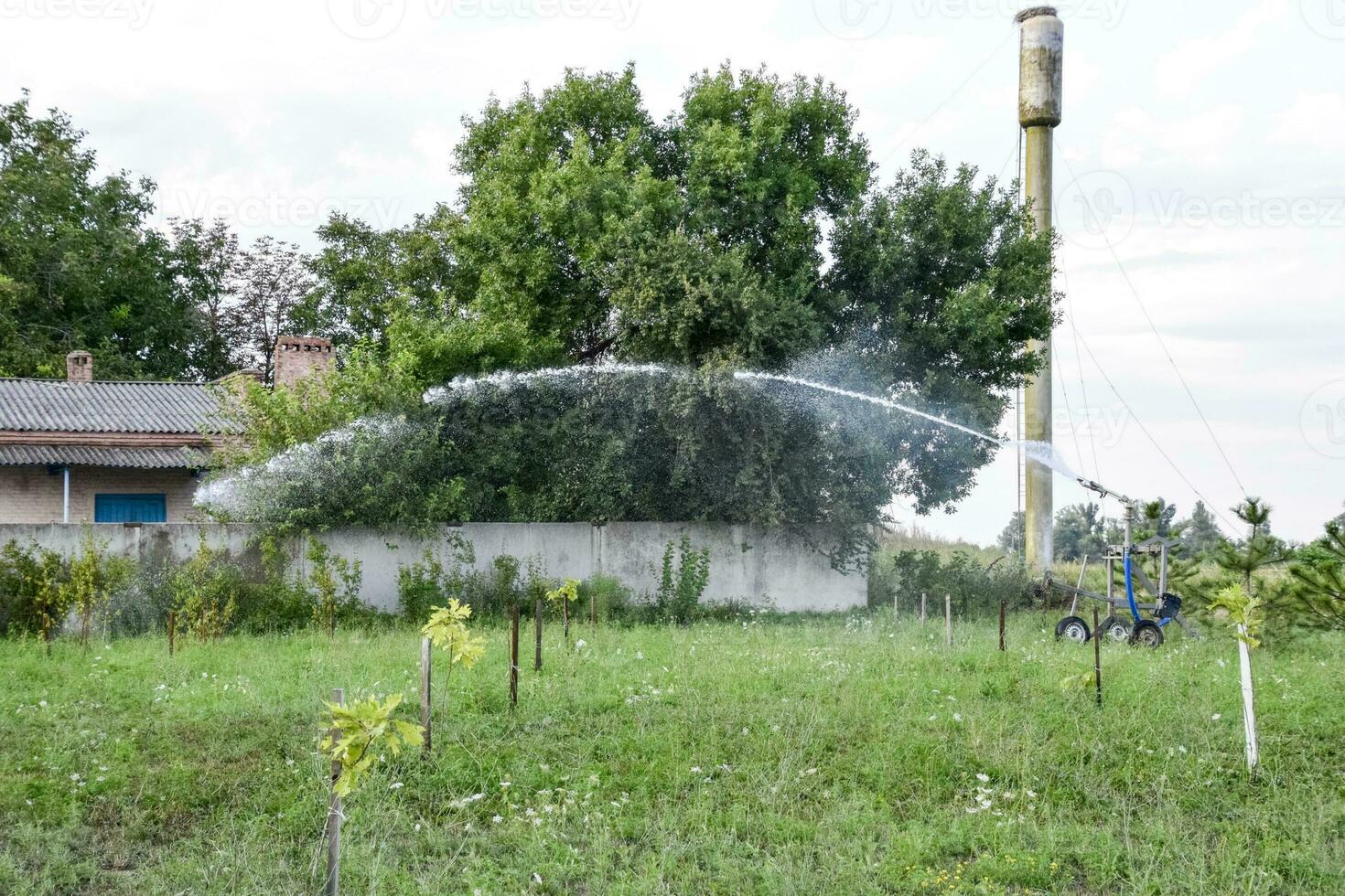Irrigation system Watering in the garden. Watering the seedlings in the park. Watering the fields. Sprinkler. photo