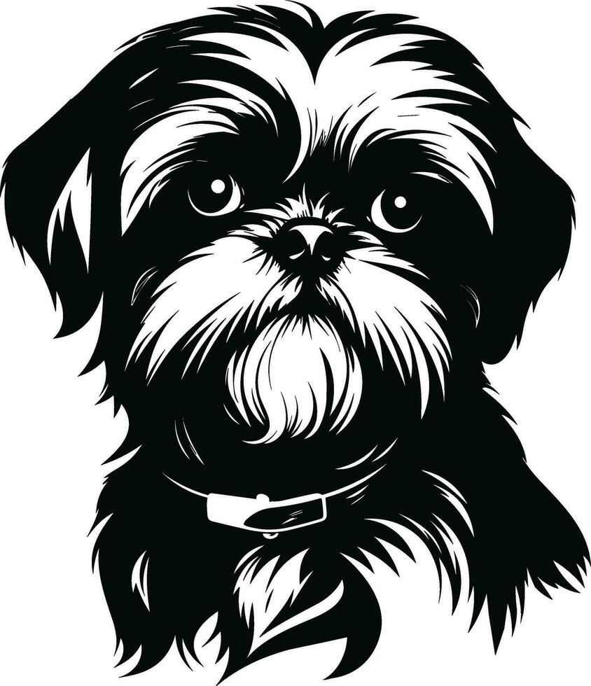 silueta personaje shih tzu perro, linda logo. vector