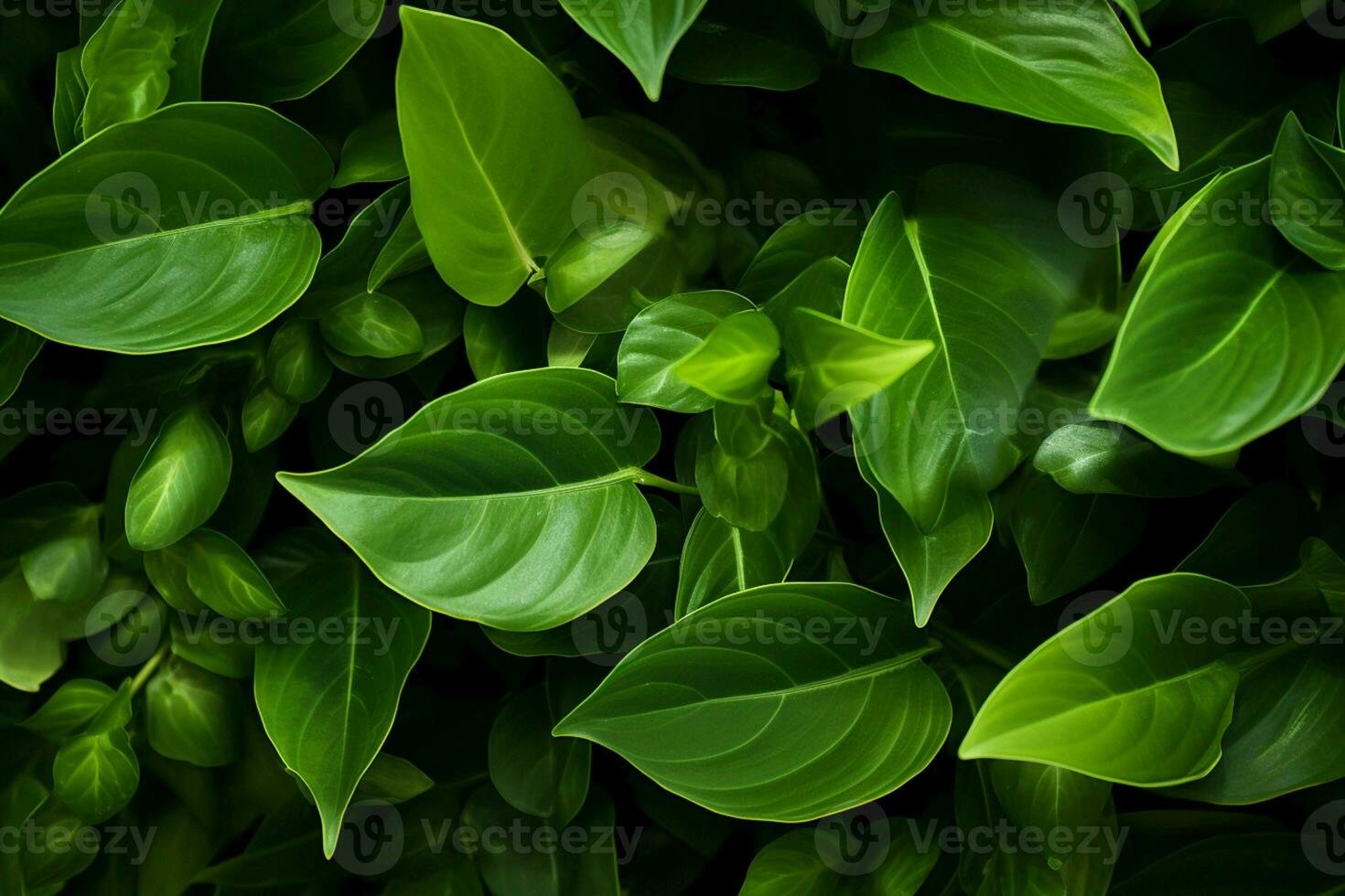 ai generado aéreo ballet hojas en medio aire creando un fascinante monitor de naturalezas movimiento ai generado foto