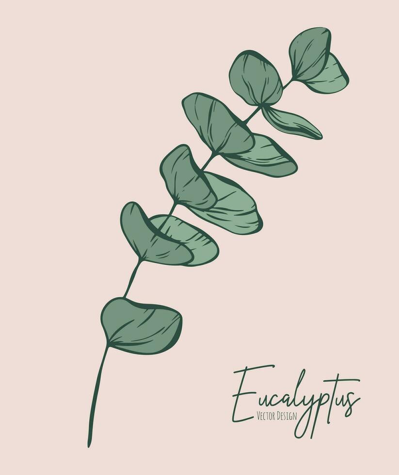Botanical elegant line illustration of a eucalyptus leaves branch for wedding invitation and cards, logo design, web, social media and poster, template, advertisement, beauty and cosmetic industry. vector