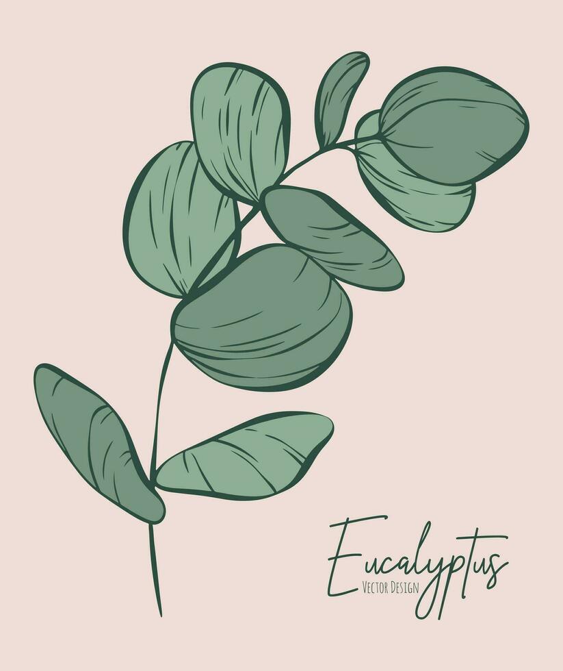 Botanical elegant line illustration of a eucalyptus leaves branch for wedding invitation and cards, logo design, web, social media and poster, template, advertisement, beauty and cosmetic industry. vector