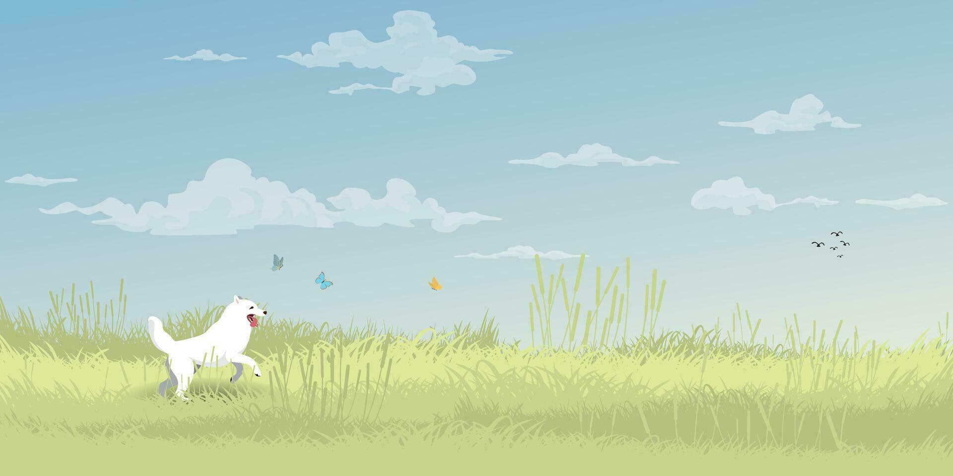 contento perro persiguiendo mariposa en césped campo en primavera temporada plano diseño vector ilustración. perro soltado en el público parque.