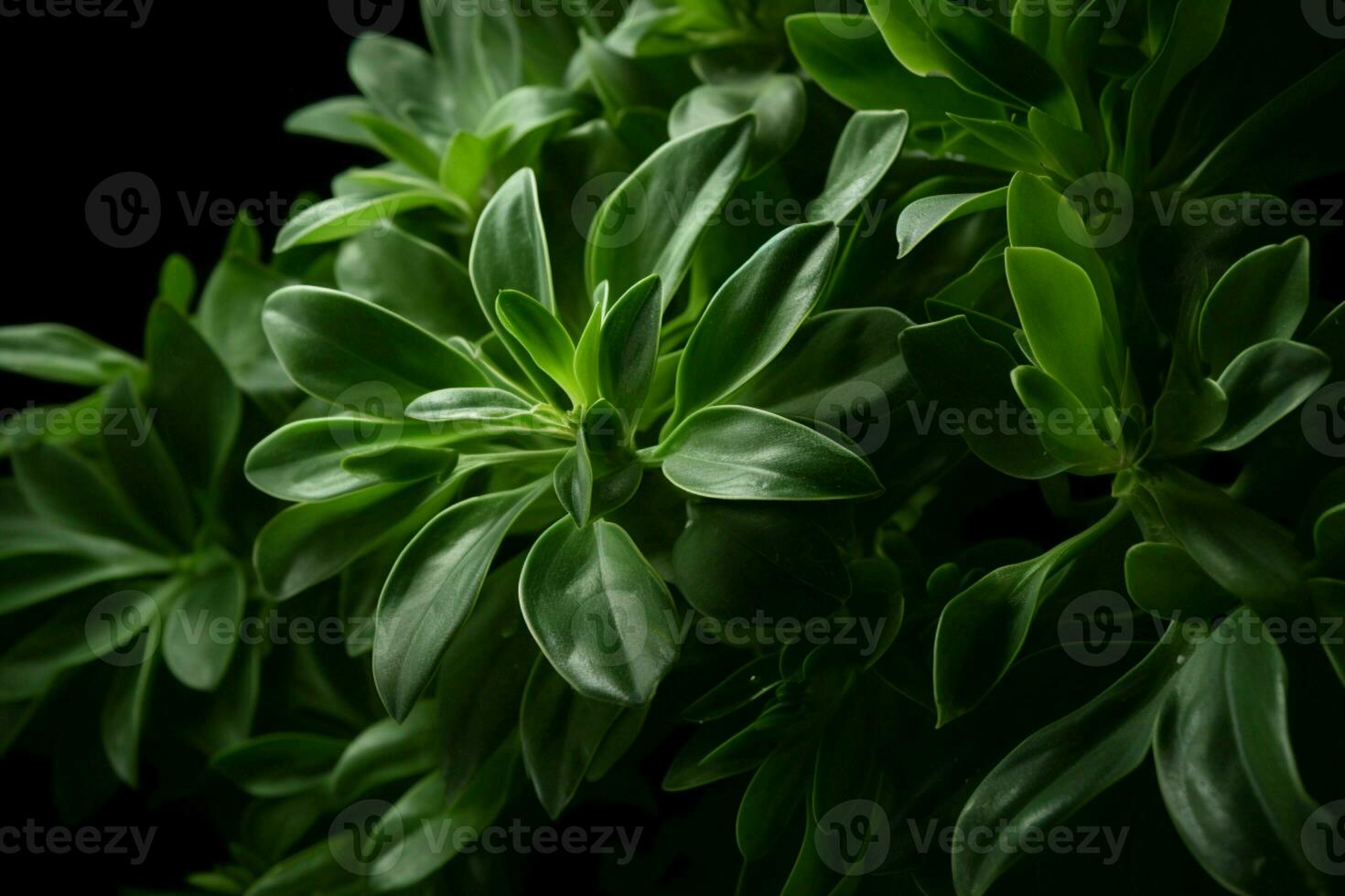 ai generado dinámica belleza cautivador imagen de verde hojas graciosamente suspendido en el aire ai generado foto