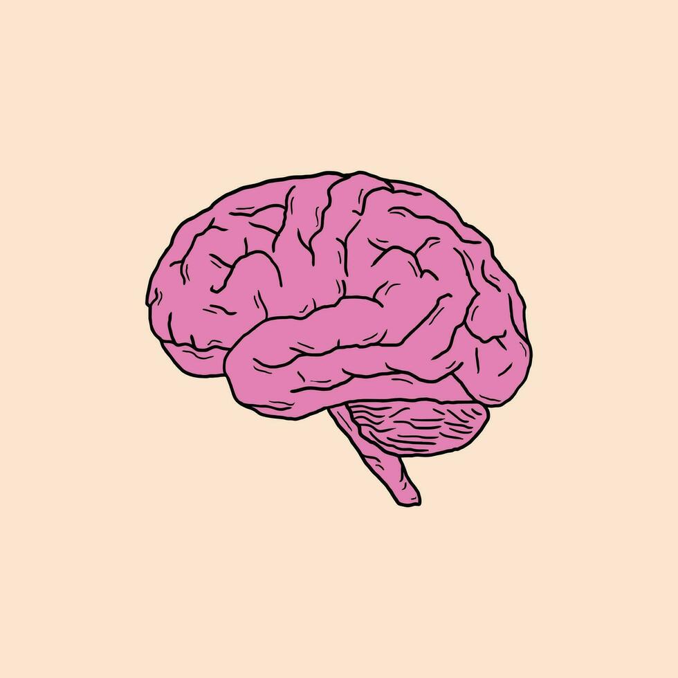 humano cerebro vector ilustración diseño