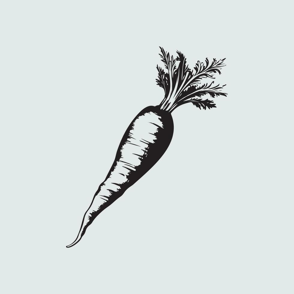 Carrot Image Vector