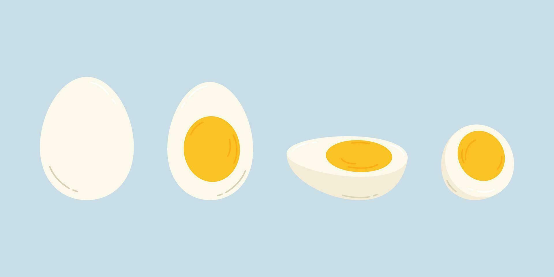 Set of sliced hard boiled eggs. Flat isolated vector illustration