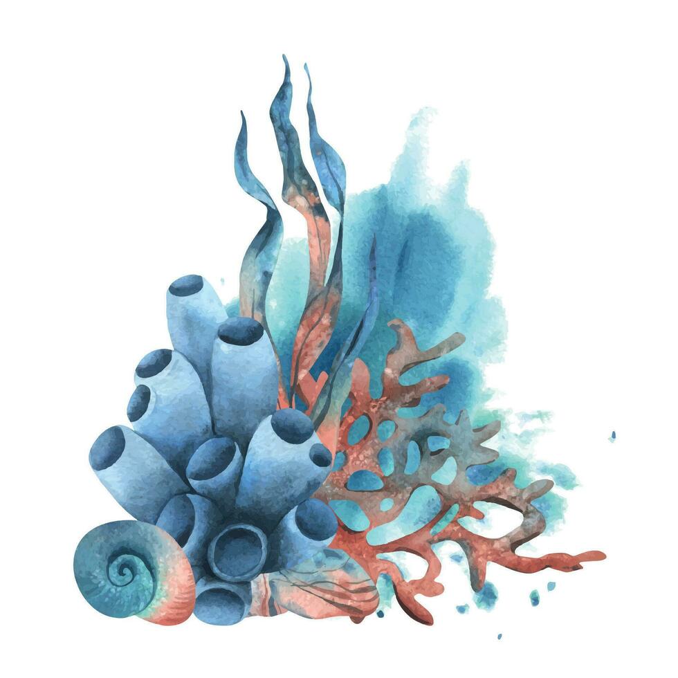 submarino mundo clipart con mar animales, conchas, coral, esponja y algas. mano dibujado acuarela ilustración. aislado composición en un blanco antecedentes vector