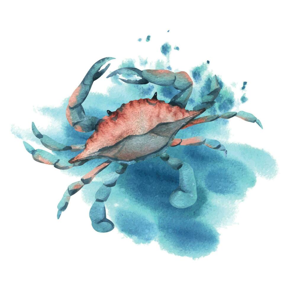 submarino mundo clipart con mar animales, cangrejo. mano dibujado acuarela ilustración. aislado composición en un blanco antecedentes. vector
