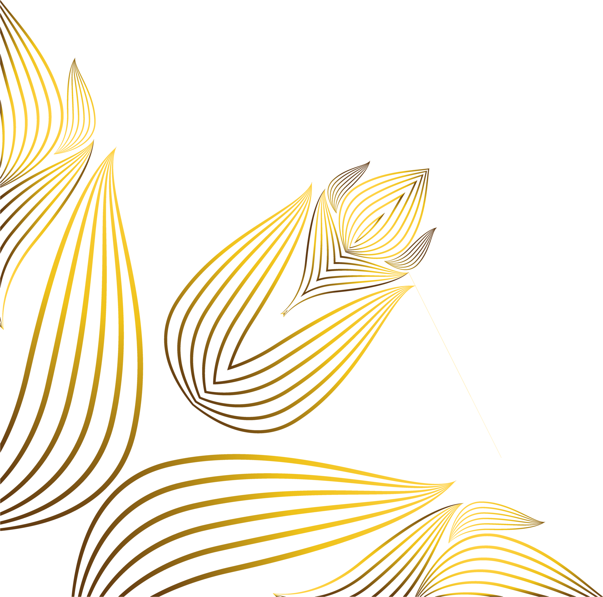 beautiful gold ornament 36121232 PNG