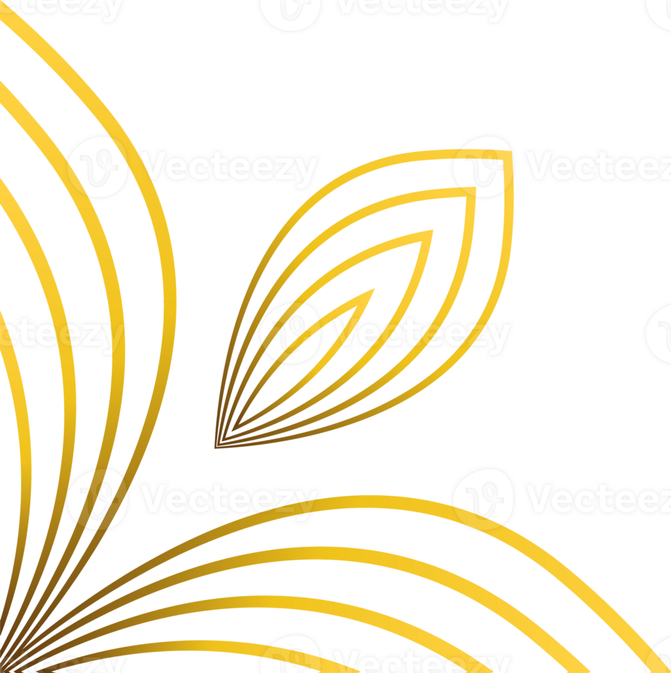 beautiful gold ornament png