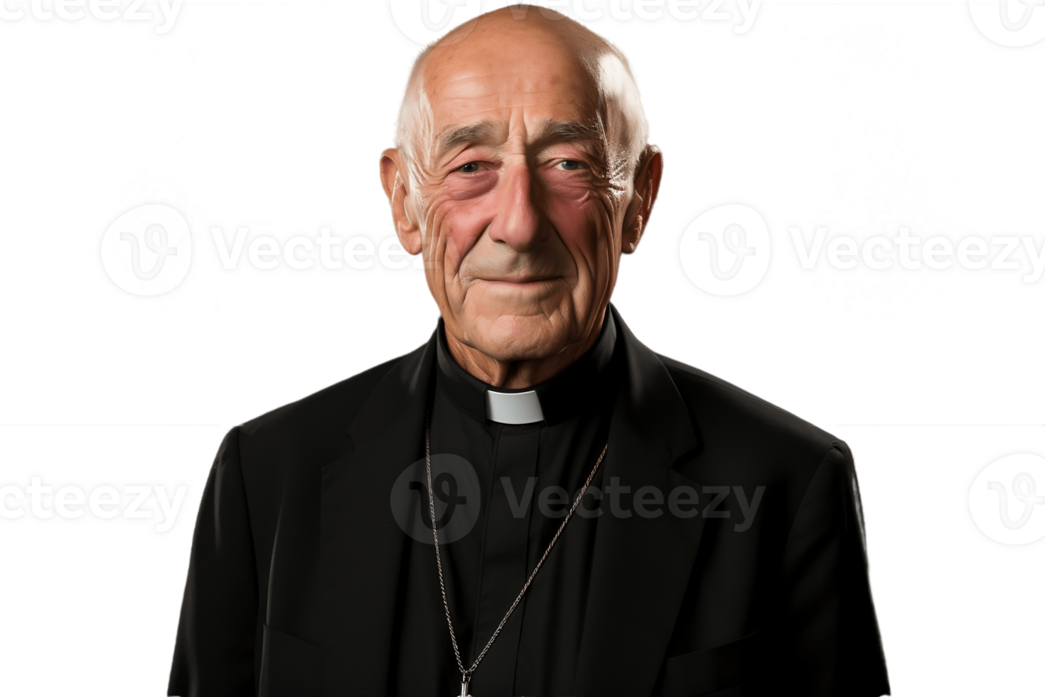 ai generato sorridente vecchio sacerdote in piedi su trasparente sfondo. ai png