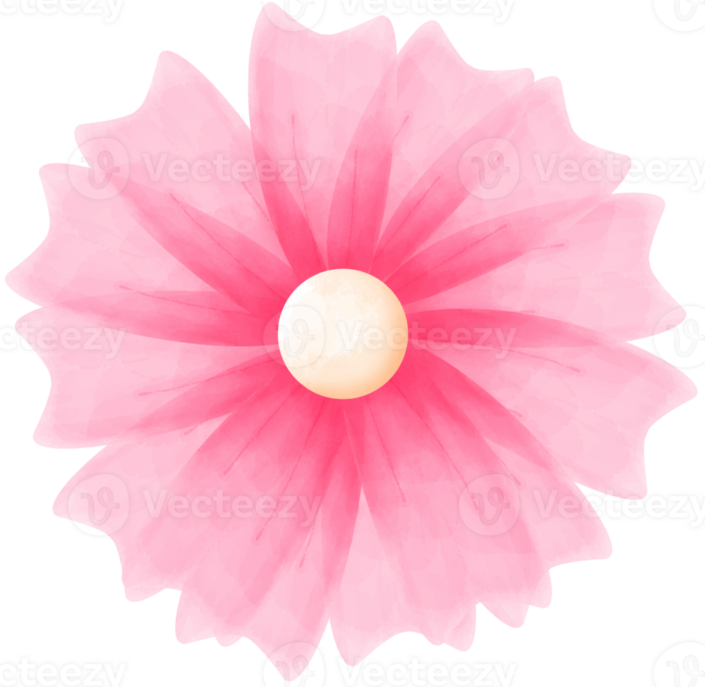Pink Watercolor Flower png