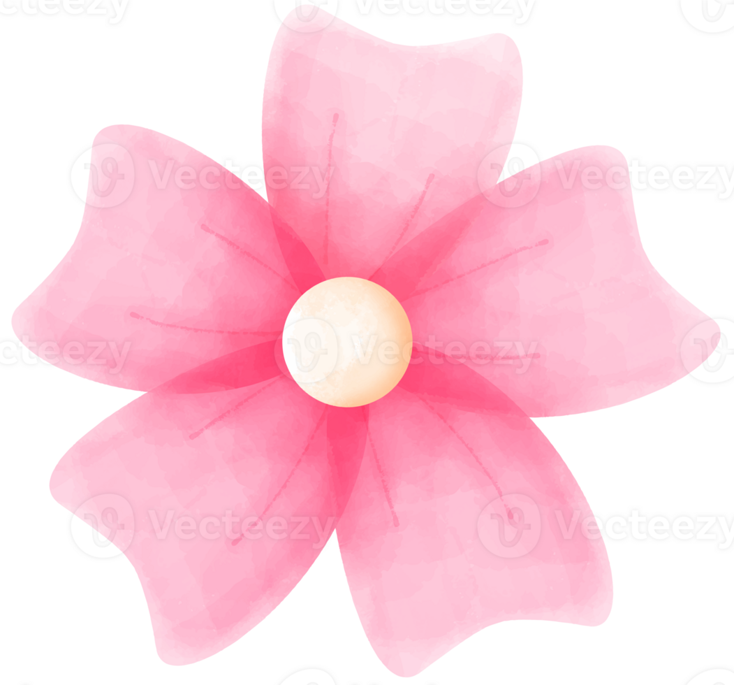 Pink Watercolor Flower png