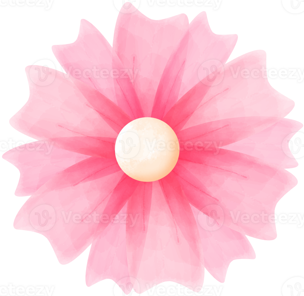 Pink Watercolor Flower png