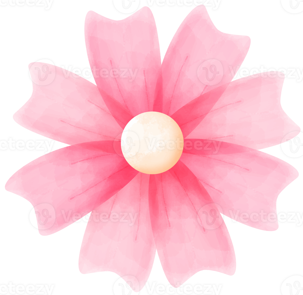 Pink Watercolor Flower png