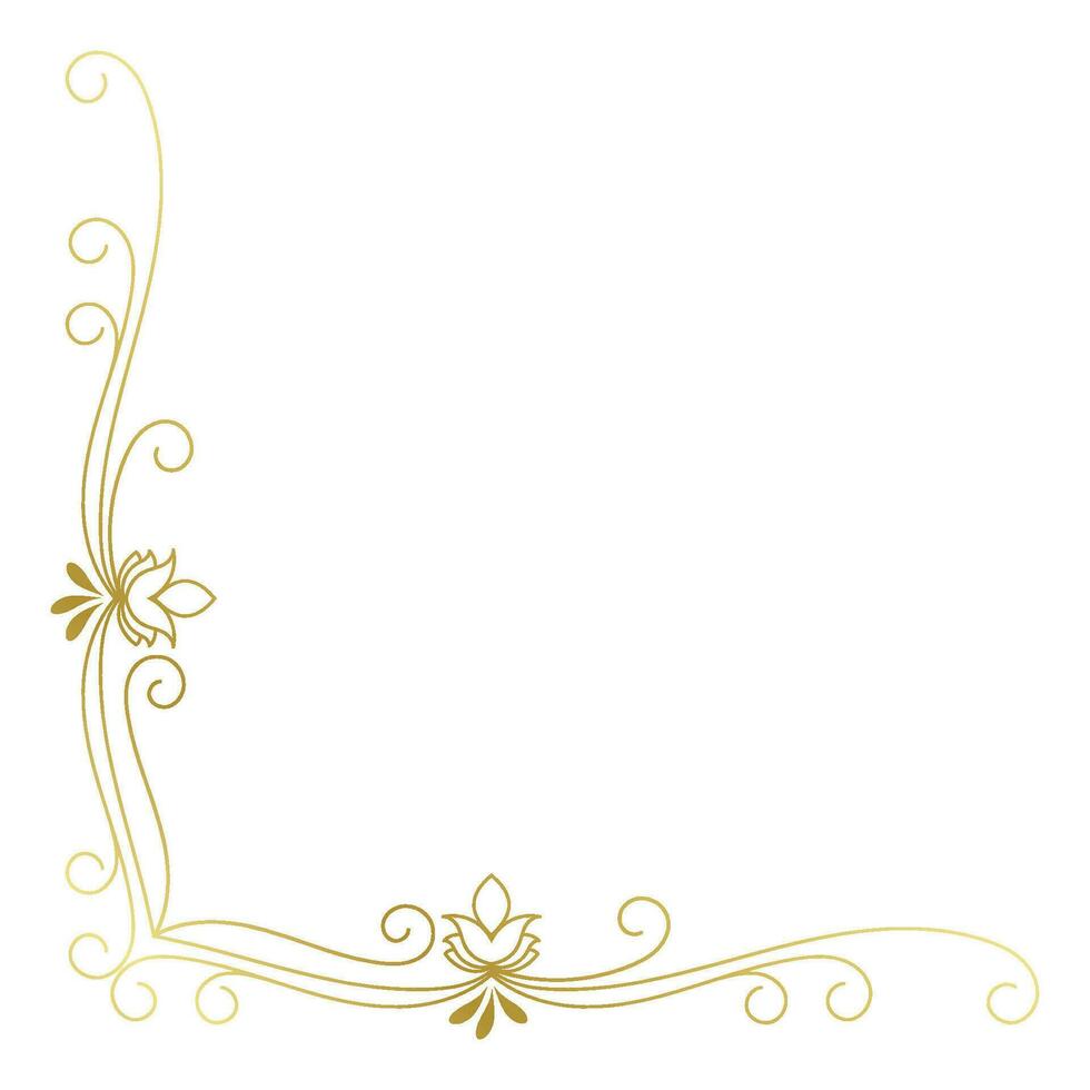 Vintage corner lines in the shape of gold rolled flowers are made into a baroque style frame. vector