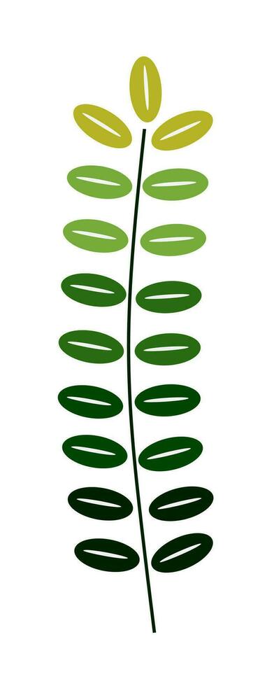 Eucalyptus leaf icon vector isolated on white background.