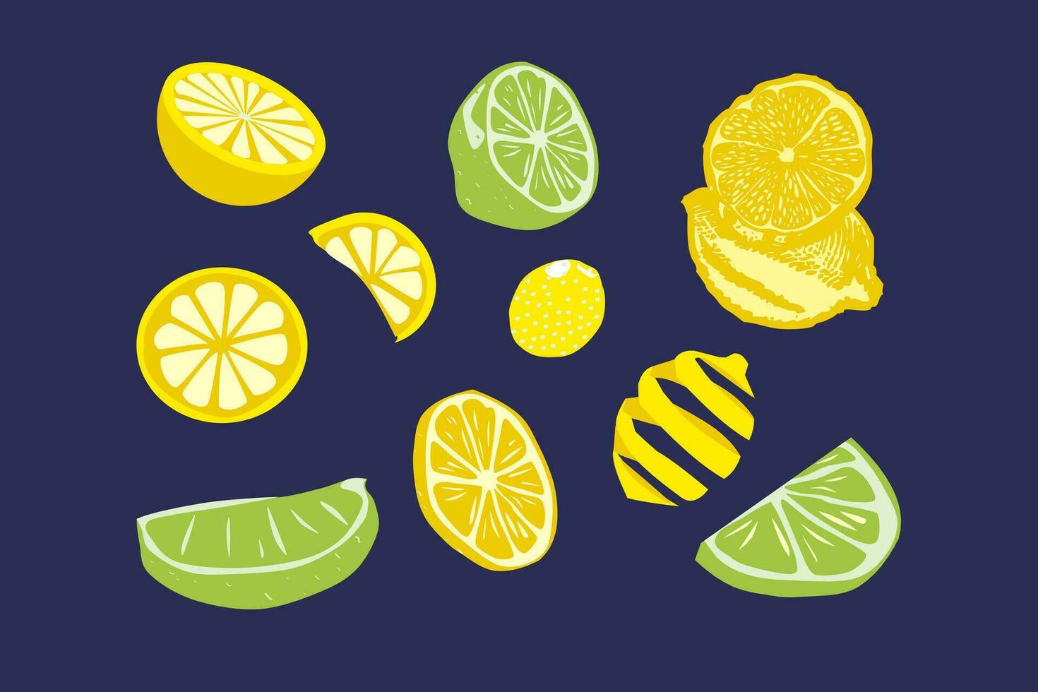 Citrus fruit set. Lemon, lime, orange, grapefruit. Vector illustration