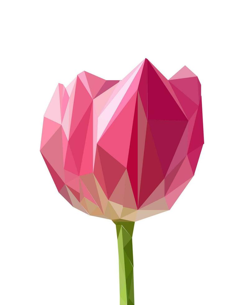 Low poly pink tulip isolated on white background. Vector illustration.