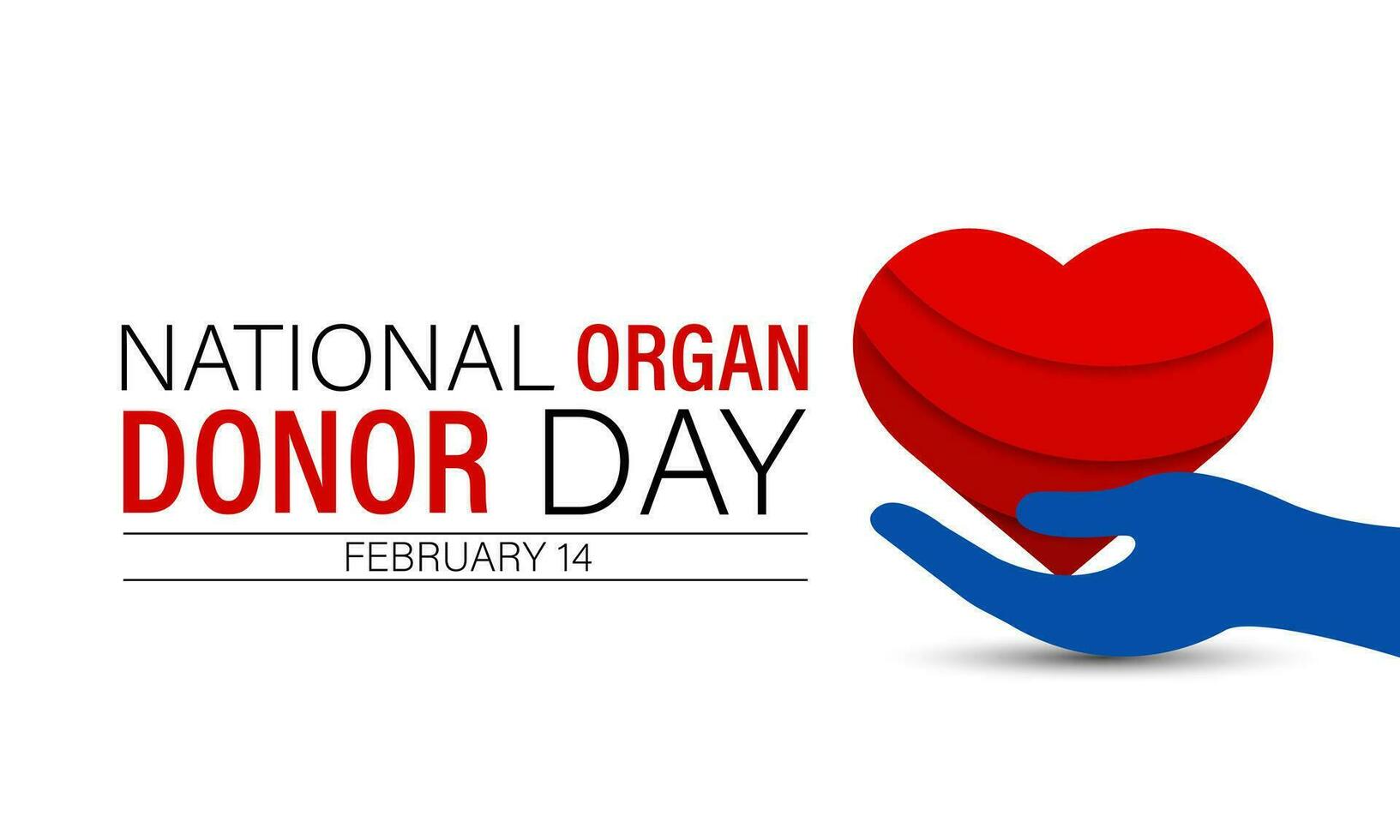 nacional Organo donante día observado cada año en febrero 14to . donante día objetivos a aumento conciencia de el vivir. vector ilustración