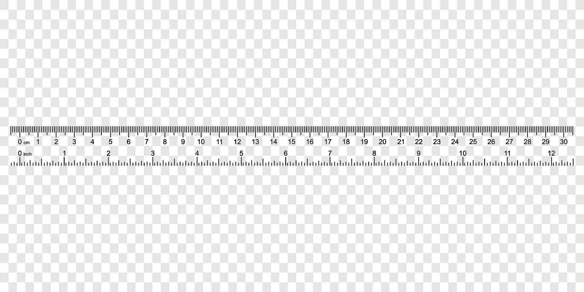 regla con números para medición longitud vector