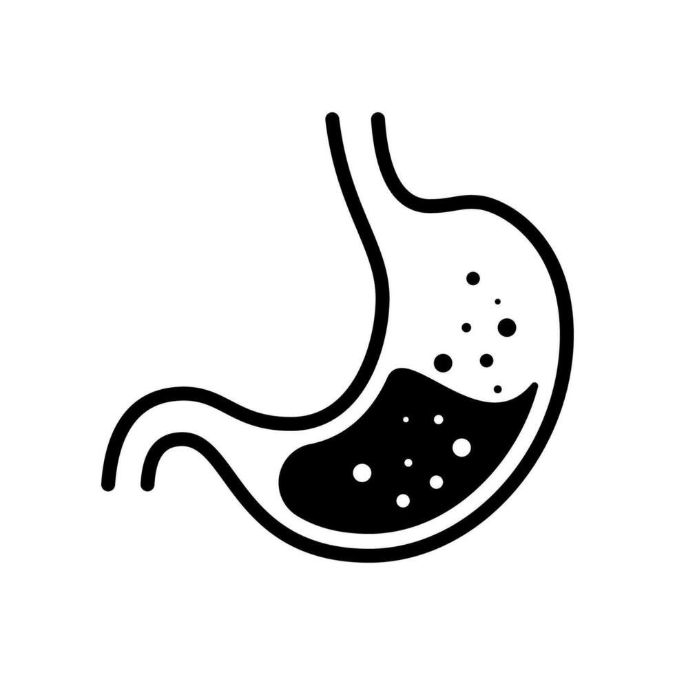 Stomach line icon isolated on white background. vector