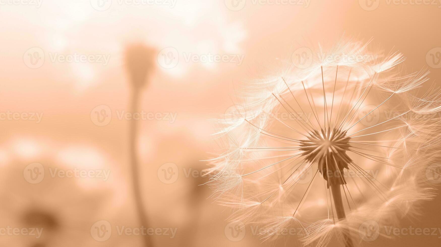 AI generated Close-up of a dandelion seed head, with intricate details and a glowing peach gradient background, ideal for botanical illustrations and serene decor. Trendy Peach Fuzz color photo