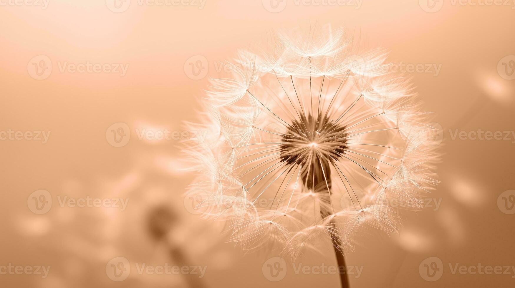 AI generated Soft dandelion silhouette against warm gradient, tranquil nature scene, soothing wall art. Trendy Peach Fuzz color photo