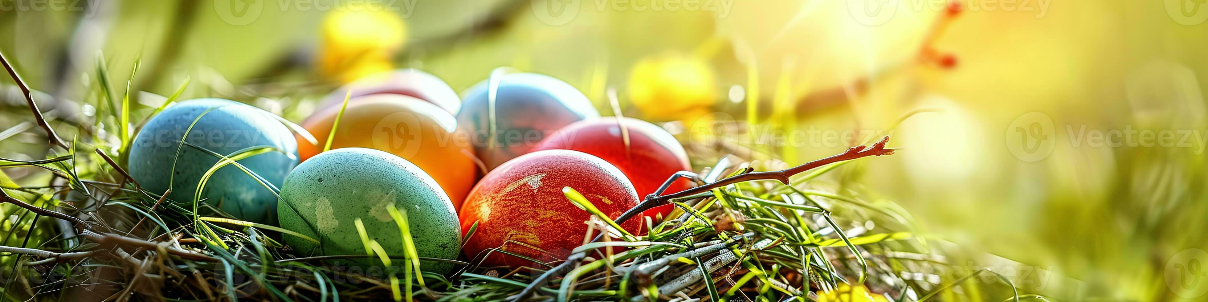 AI generated Banner Vibrant Easter eggs nestled in a sunlit nest, perfect for spring holiday themes, Easter backgrounds, and festive greeting cards photo