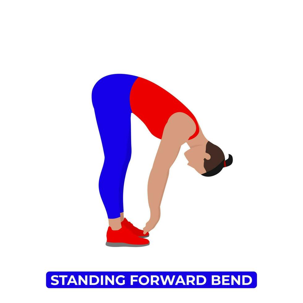 Vector Man Doing Standing Forward Bend. Spinal Flexion Back Stretch. Standing Head to Knee Pose. Uttanasana. An Educational Illustration On A White Background.