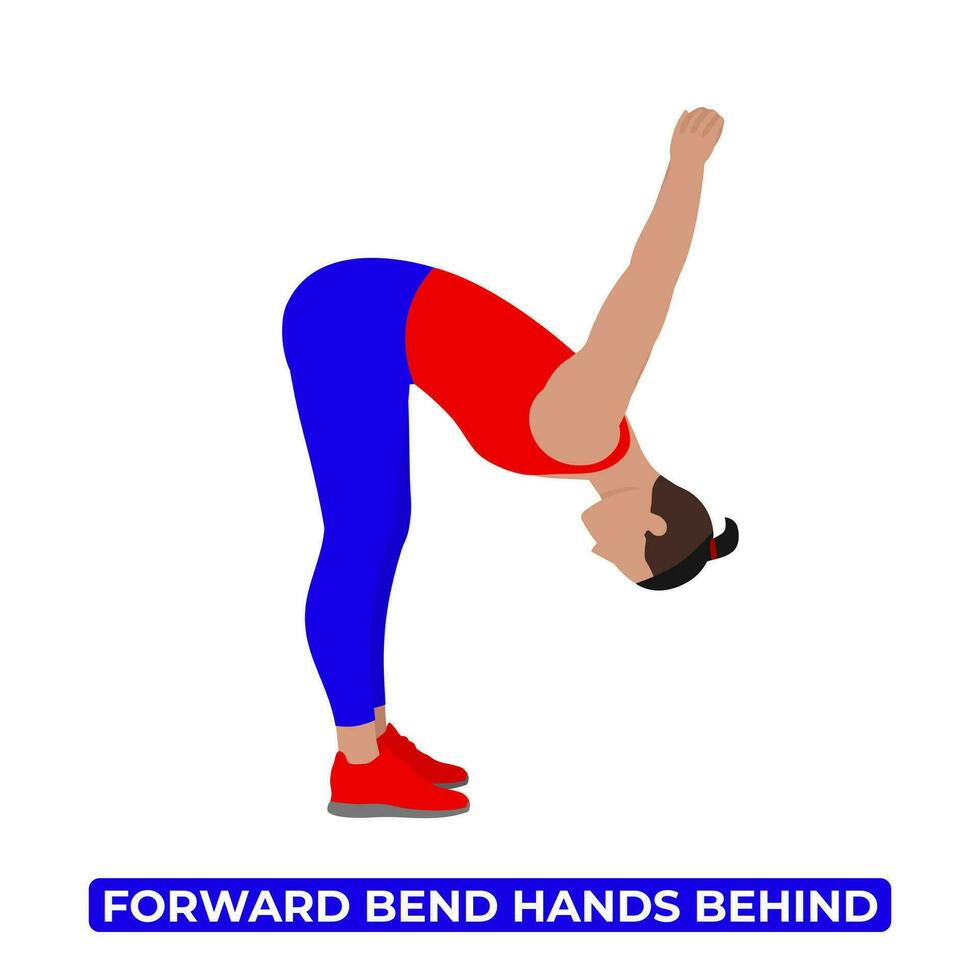 Vector Man Doing Standing Forward Bend Hands Behind. Spinal Flexion Back Stretch. Chest Opener. An Educational Illustration On A White Background.