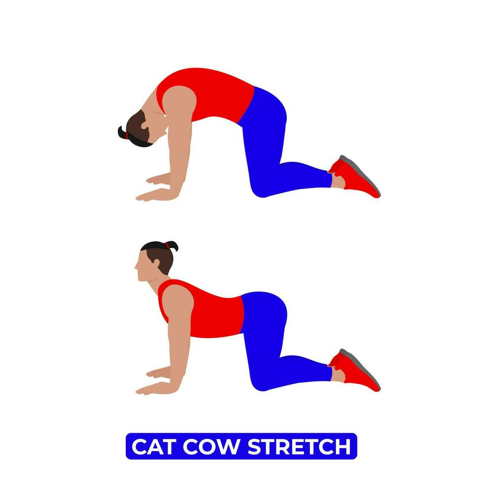 Cat Cow Stretching Men vector