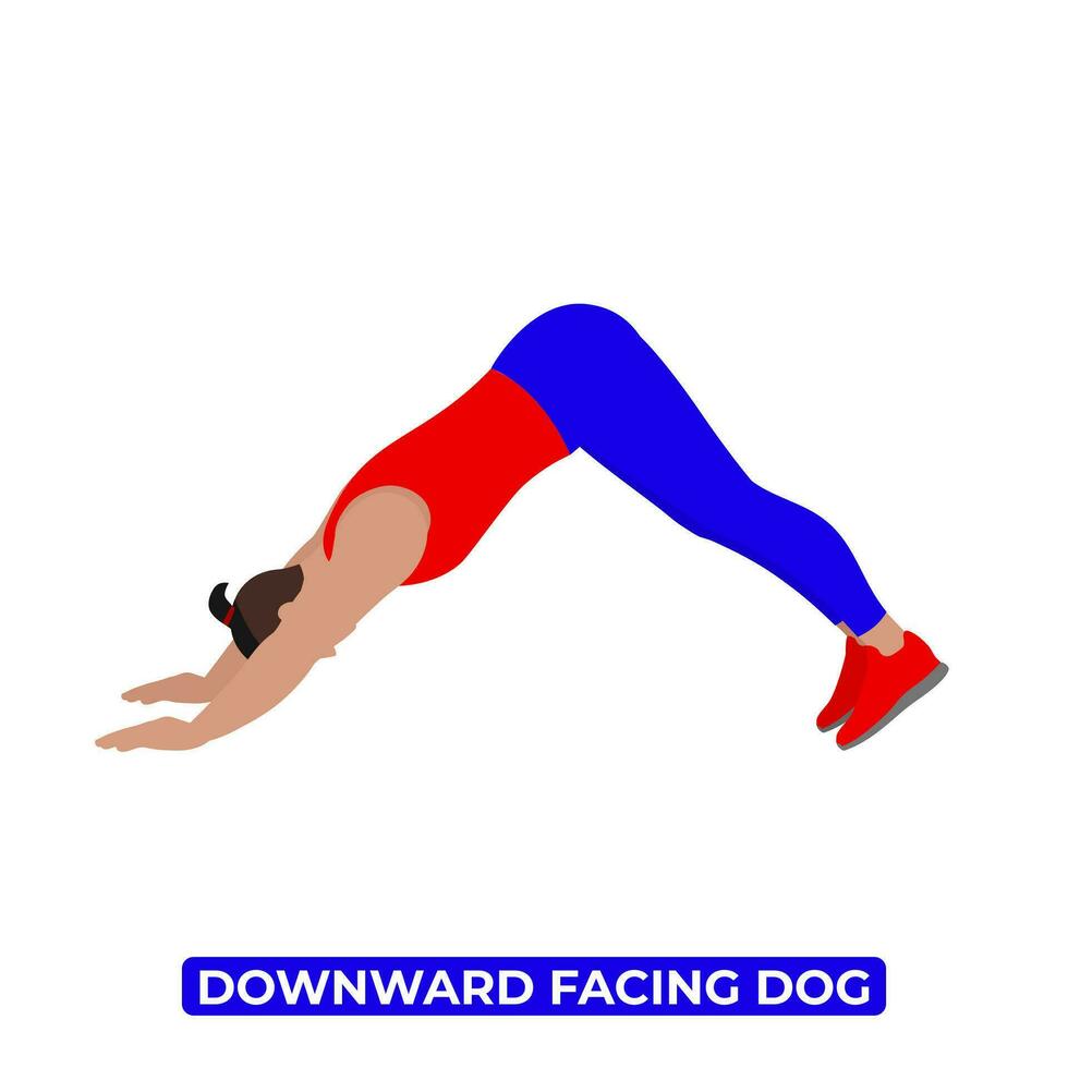 Downward Facing Dog Stretching Men vector