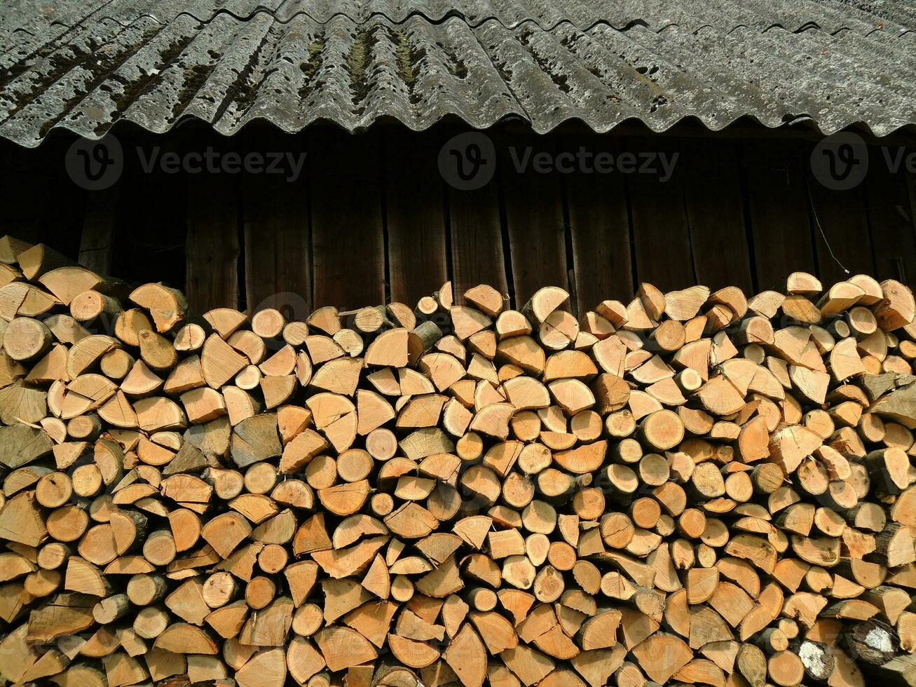 Whole and chopped firewood under overhang near a woodshed stacked for drying photo