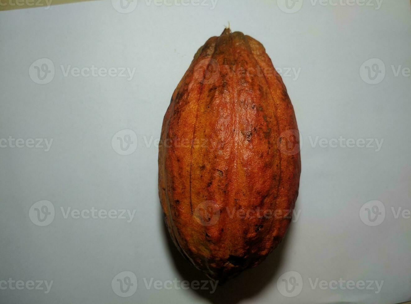 fresh chocolate fruit photo