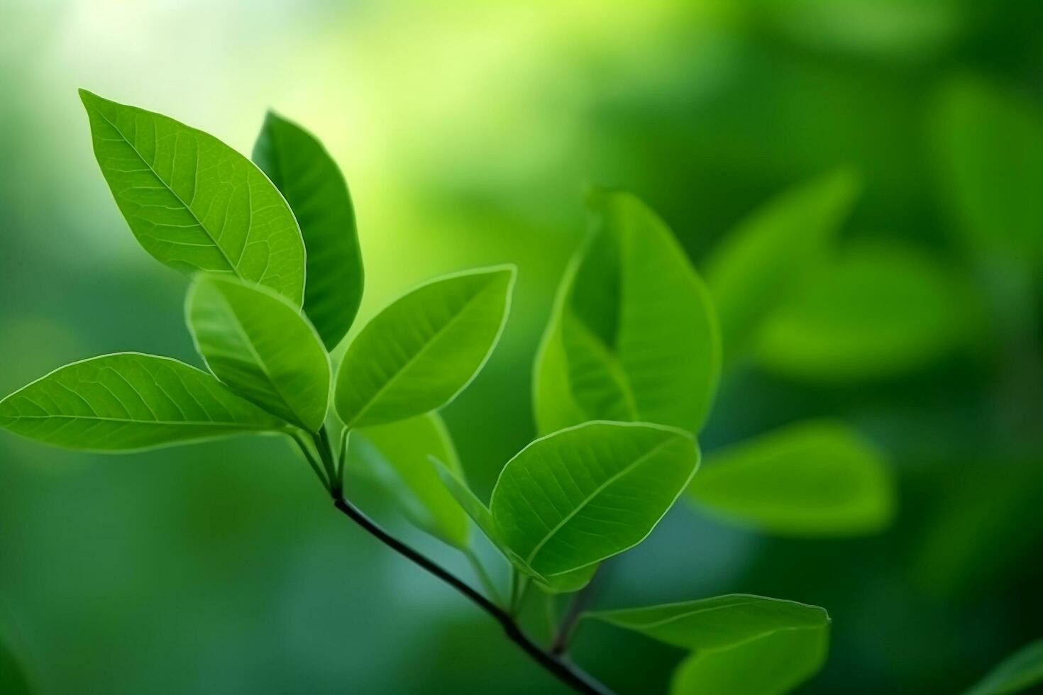 Close up green leaves with blur green background.Generative Ai. photo