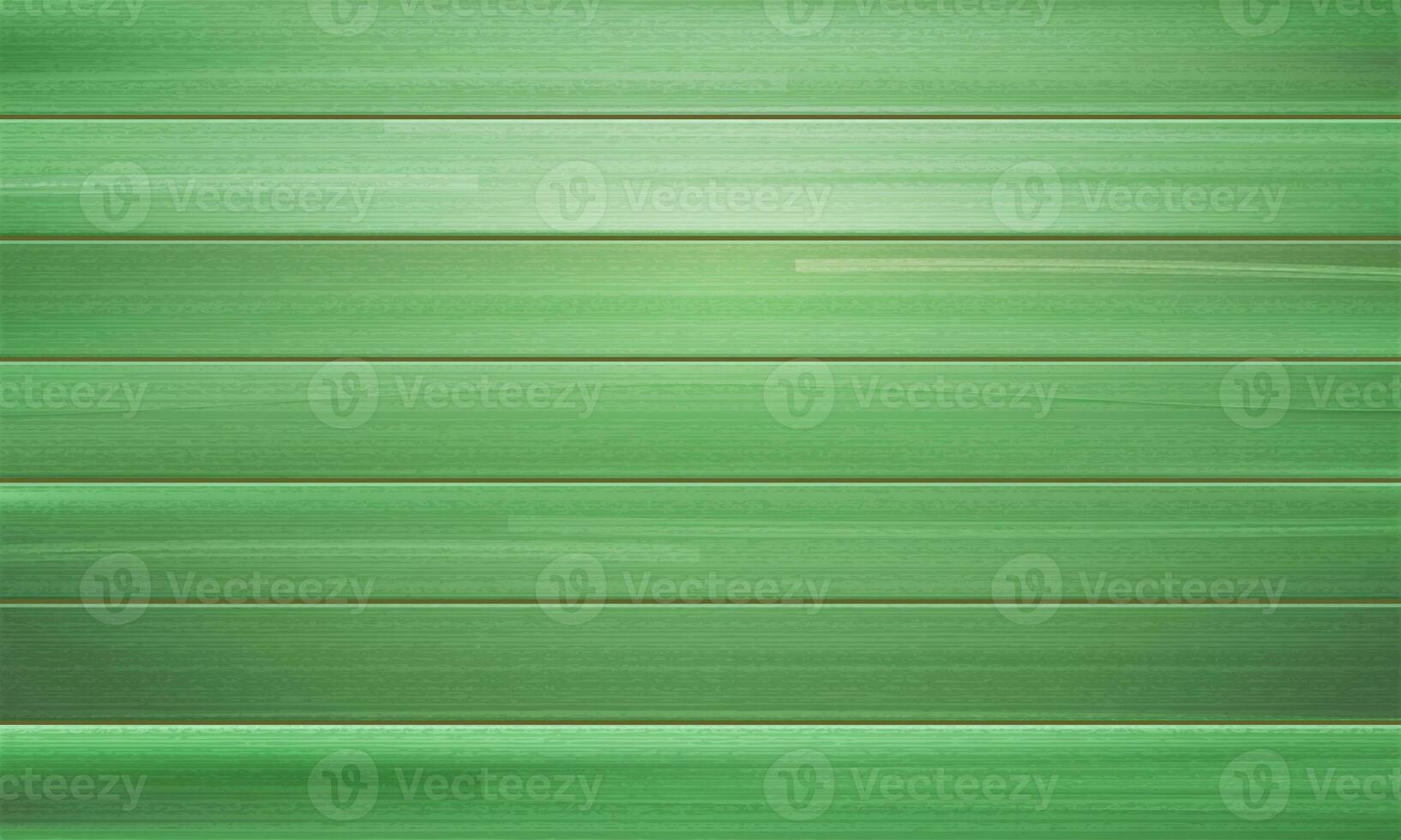 Vector green wood texture of wood wall for background and texture photo