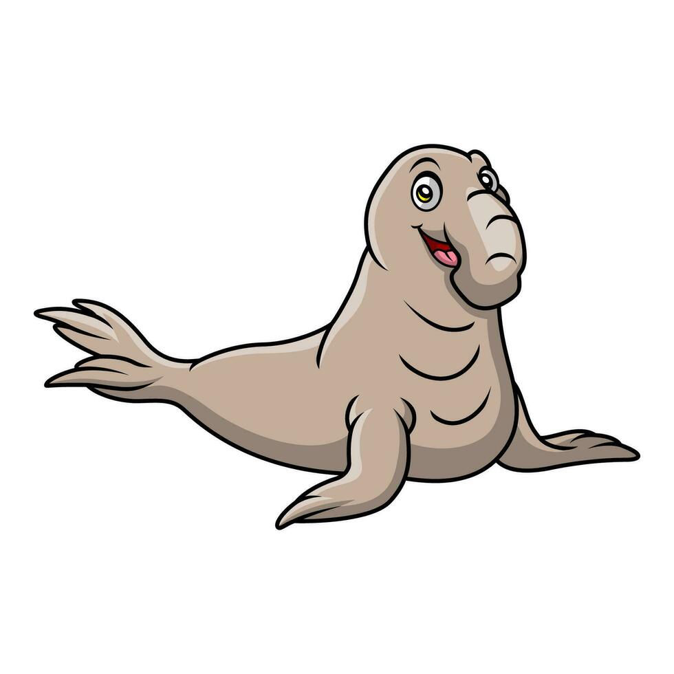 Cute bull elephant seal cartoon on white background vector