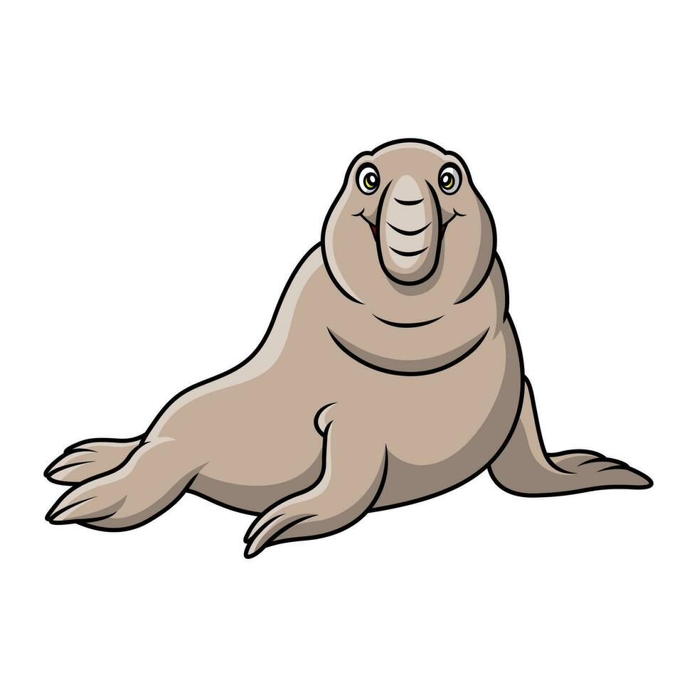 Cute bull elephant seal cartoon on white background vector