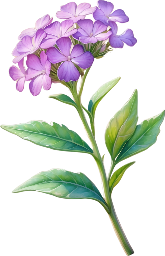 AI generated Watercolor painting of Desert Sand Verbena flower. Ai-Generated png