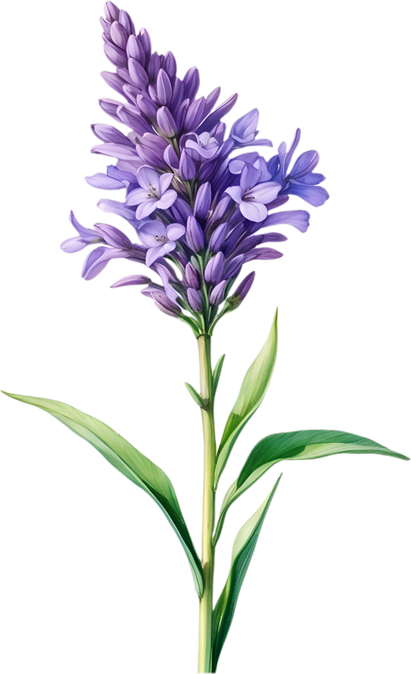 ai genererad vattenfärg målning av lavendel- blomma. ai-genererad png