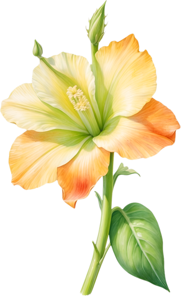 AI generated Watercolor painting of Okra flower. Ai-Generated png