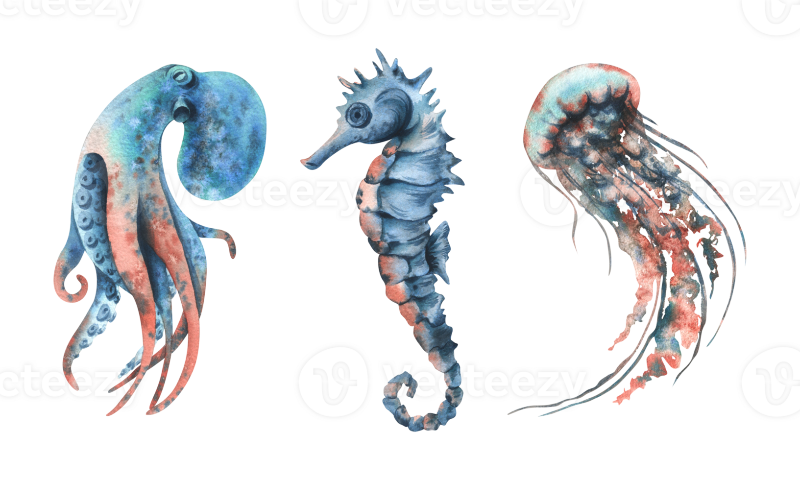 Underwater world clipart with sea animals octopus, seahorse, jellyfish. Hand drawn watercolor illustration. Set of isolated objects png