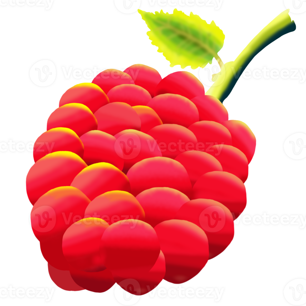 Many red grapes png