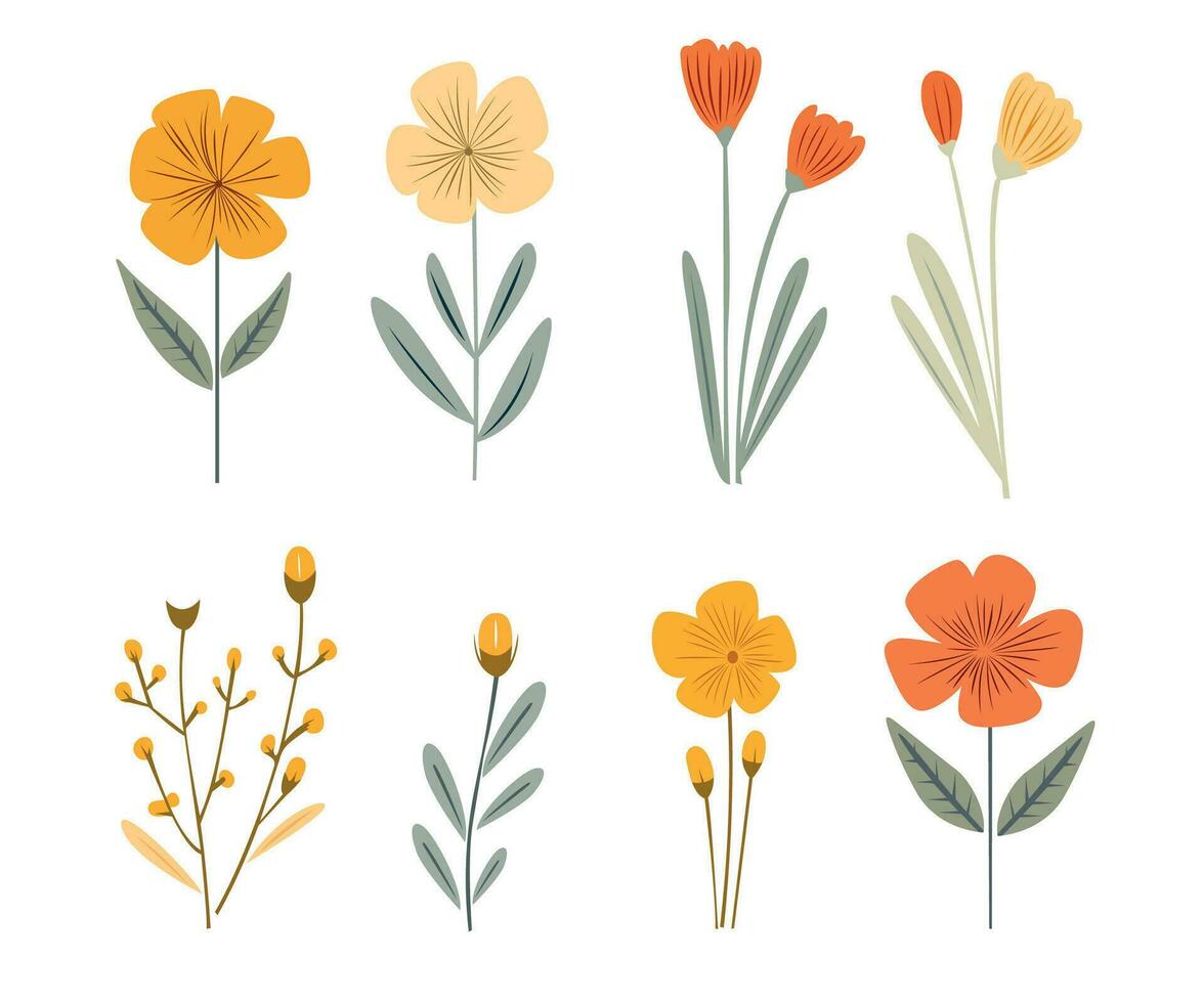 Flat Flower set vector illustration